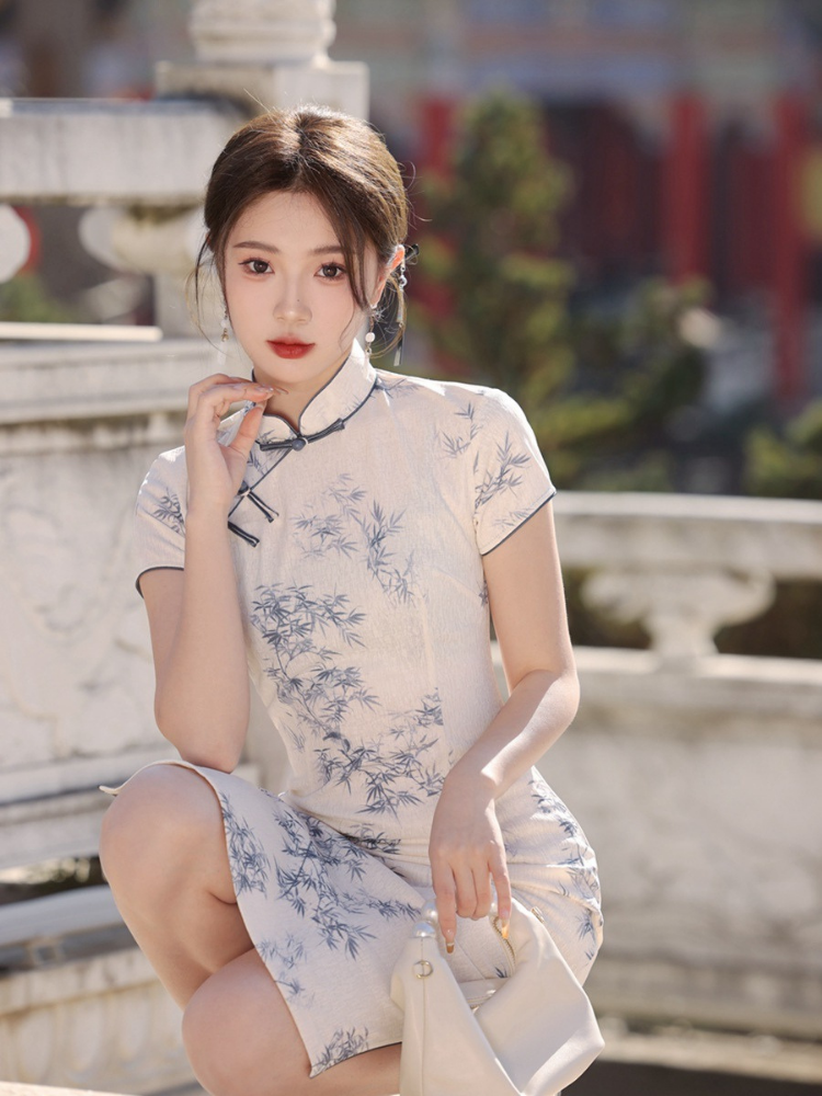 Graceful Retro Improved Cheongsam