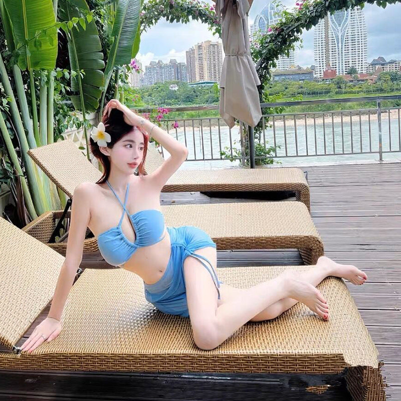 Korea ins style small breast swimming costume women senior sense of pure desire wind split sexy bikini